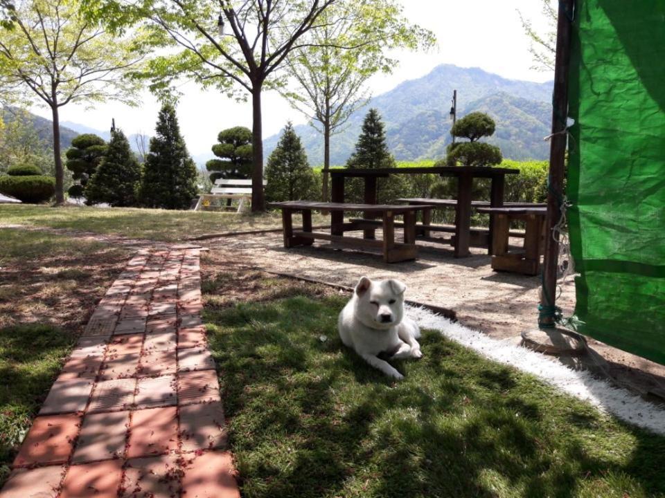 Chamjoeun Pension Chech'ŏn Exteriér fotografie