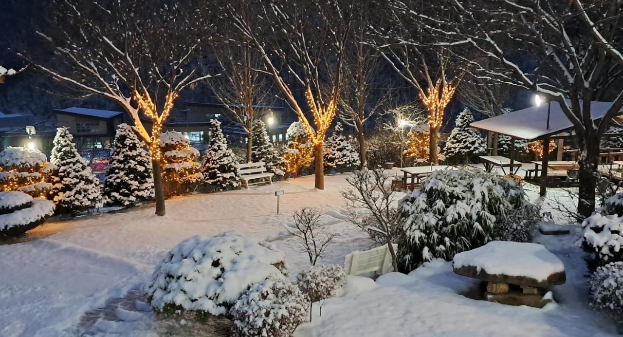 Chamjoeun Pension Chech'ŏn Exteriér fotografie